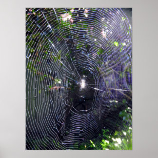 Affiche Spider Web