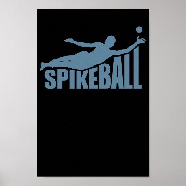 Affiche Spikeball Ballsport Freizeit Roundball (Devant)
