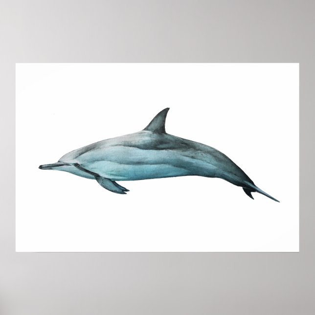 Affiche Spinner Dolphin realistic illustration Print (Devant)