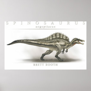 Affiche Spinosaurus aegyptiacus