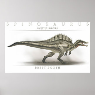 Affiche Spinosaurus aegyptiacus