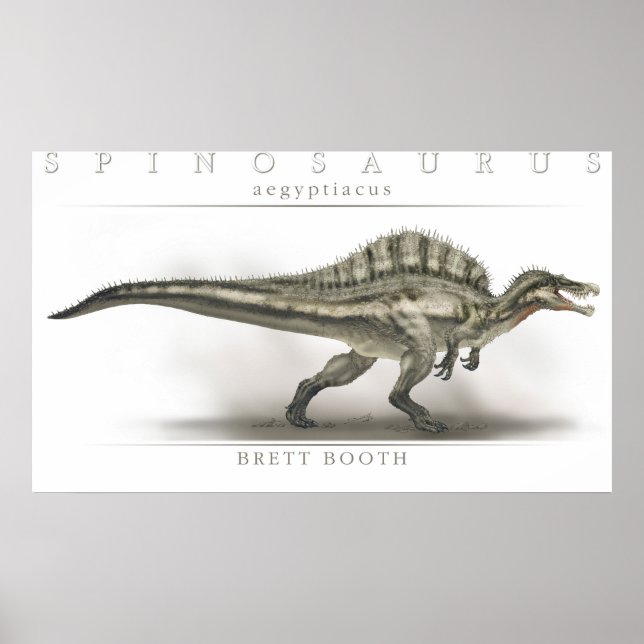 Affiche Spinosaurus aegyptiacus (Devant)