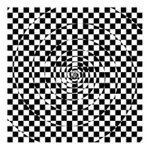 Spirale à carreaux logarithmique Var. 2