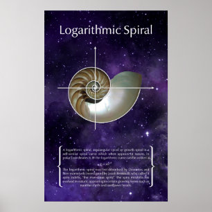 Affiche Spirale logarithmique