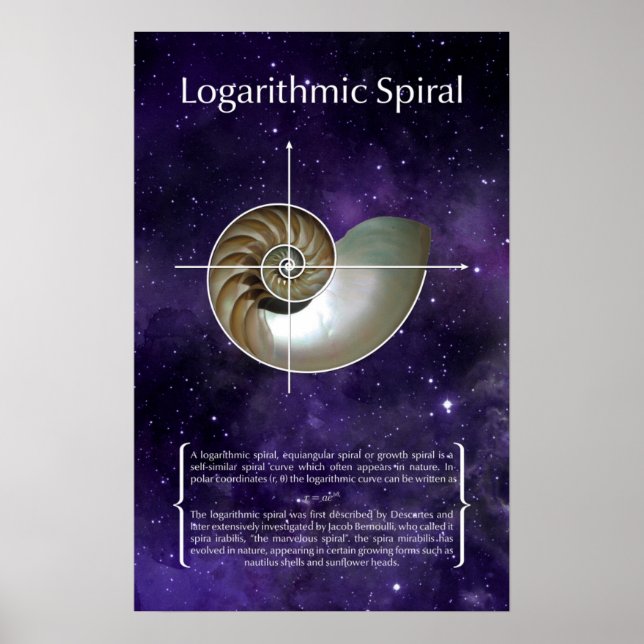 Affiche Spirale logarithmique (Devant)