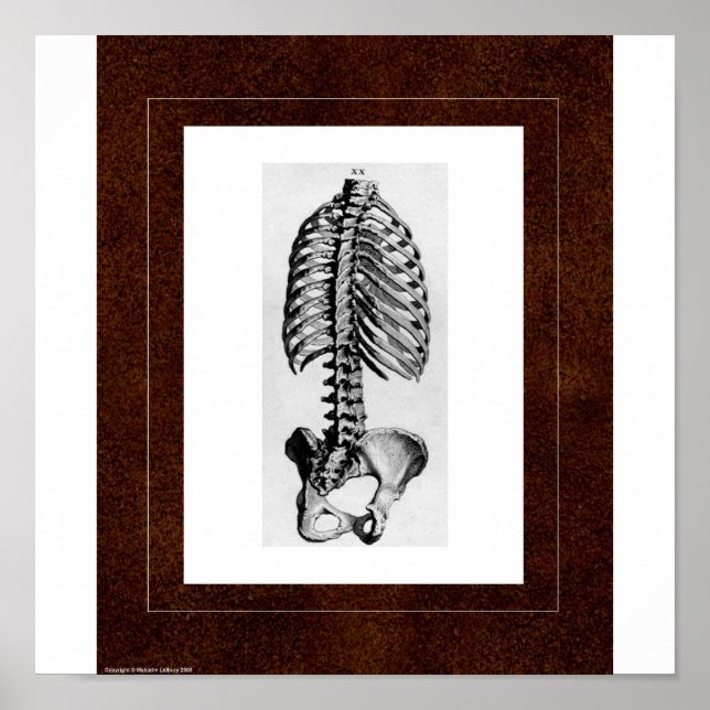 Affiche Spirit House (Devant)