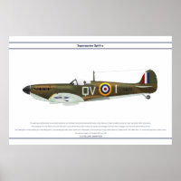 Spitfire GB 19 Sqn 1