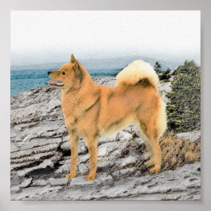 Affiche Spitz finlandais à Seashore Peinture - Chien Art