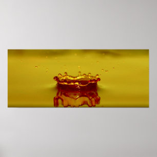 Affiche Splash