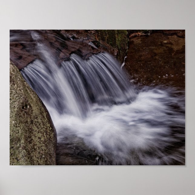 Affiche Splash (Devant)