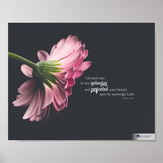 Affiche Splendor (Ezéchiel 16:14) (Devant)