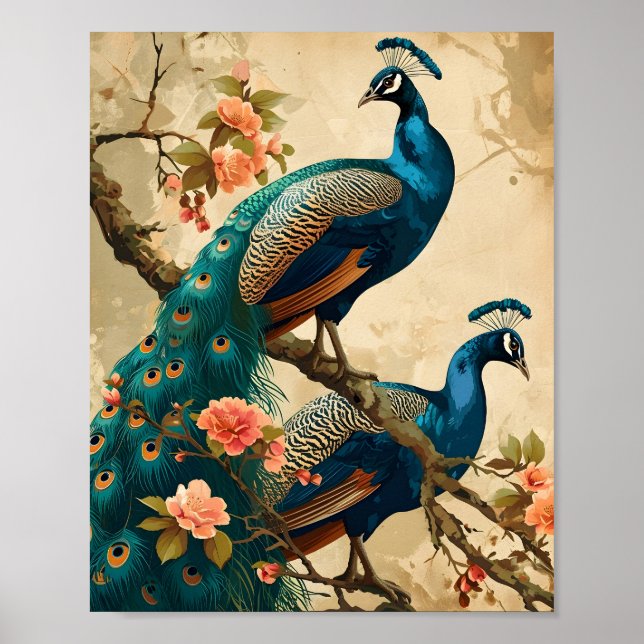 Affiche Splendor Peacock vintage (Devant)