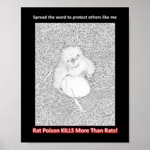 AFFICHE SPREAD THE WORD RAT POISON KILLS HELP WILDLIFE