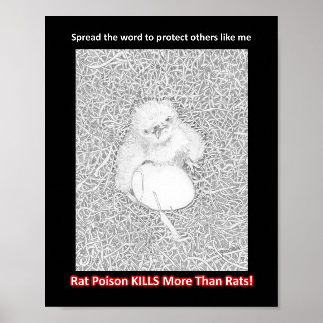 AFFICHE SPREAD THE WORD RAT POISON KILLS HELP WILDLIFE (Devant)