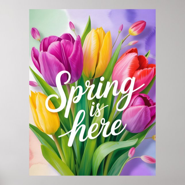 Affiche "Spring is Here" Tulip Bouquet Illustration (Devant)