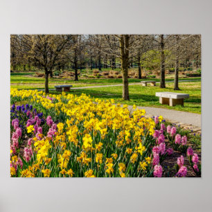 Affiche Spring Season Flower Garden