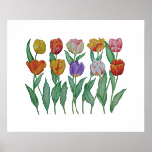 Affiche Spring Tulips
