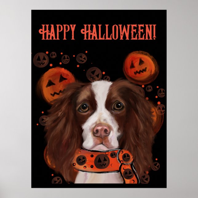 Affiche Springer Spaniel Anglais       (Devant)