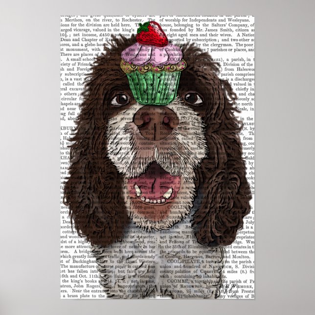 Affiche Springer Spaniel with Cupcake (Devant)