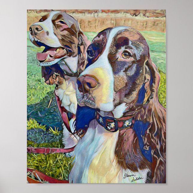 Affiche Springer Spaniels (Devant)