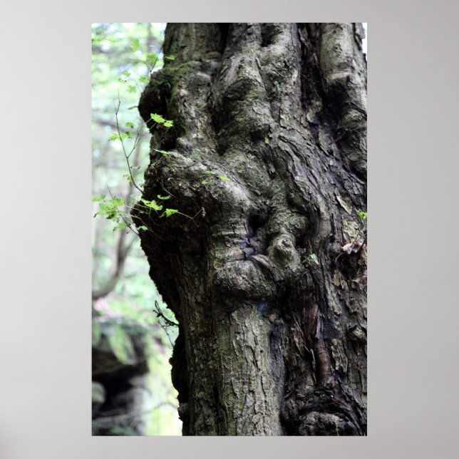 Affiche sprite en bois (Devant)