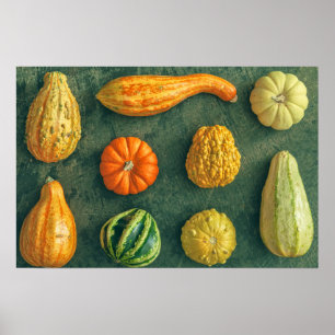 Affiche Squash d'hiver