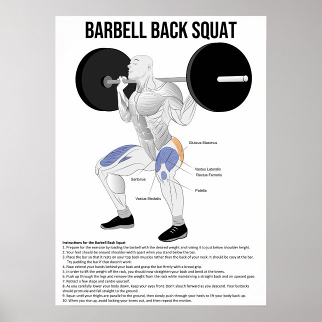 Affiche Squat - Exercice - Muscle Anatomy Chart (Devant)