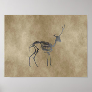 Affiche squelette de cerf