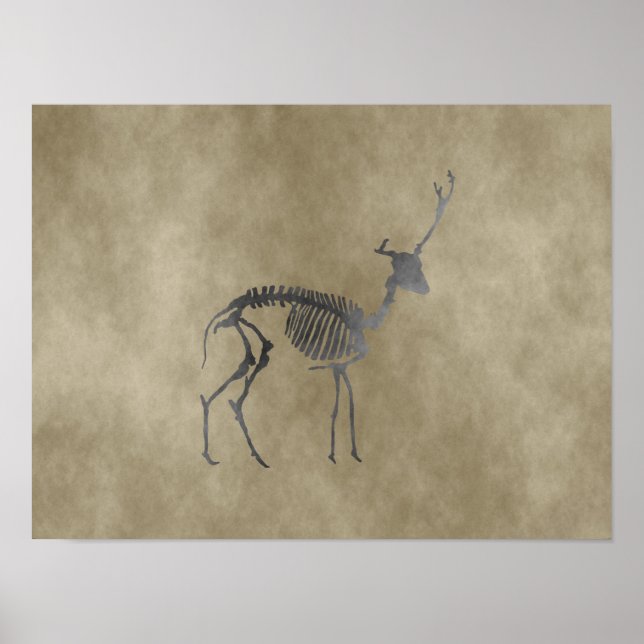 Affiche squelette de cerf (Devant)