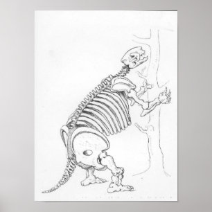 Affiche Squelette d'un Mylodon
