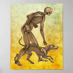 Affiche squelette homme et chien animal humain anatomie ar
