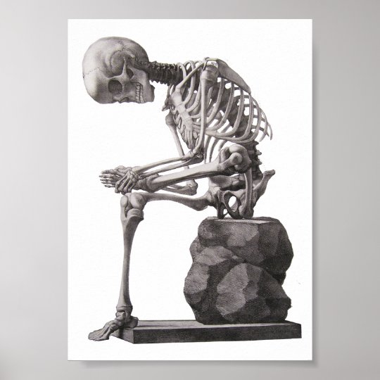 Affiche Squelette Humain Assis Anatomie Science Art Zazzle Fr