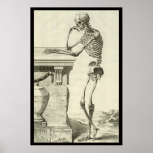 Affiche Squelette Vintage, Anatomie Humaine par Denis Dide