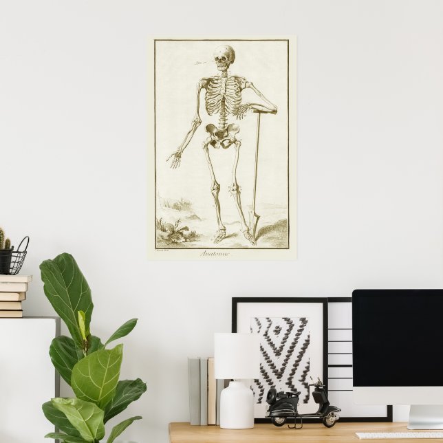 Affiche Squelette vintage, Anatomie humaine par Denis Dide (Bureau à domicile)