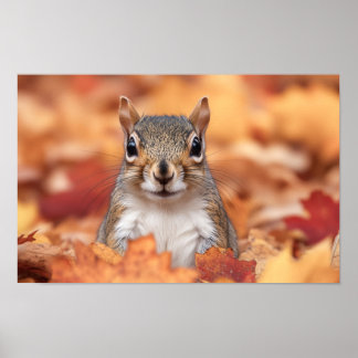 Affiche Squirrel Wild Animal Loving Portrait 