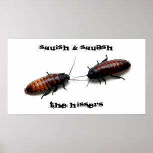 Affiche Squish & Squash, The Hissers