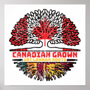 Affiche Sri Lanka Sri Lanka Racines canadiennes d'arbres
