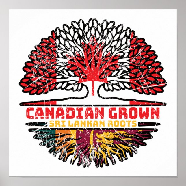 Affiche Sri Lanka Sri Lanka Racines canadiennes d'arbres (Devant)