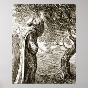 Affiche St. Columba changes bitter fruit into sweet from