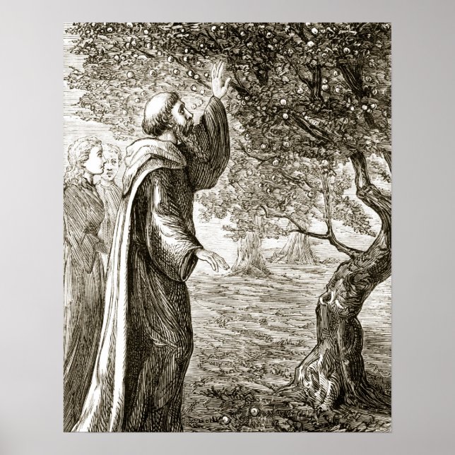 Affiche St. Columba changes bitter fruit into sweet from (Devant)