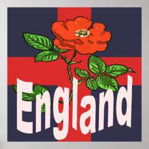 Affiche St George Cross Avec Tudor Rose et Angleterre Text
