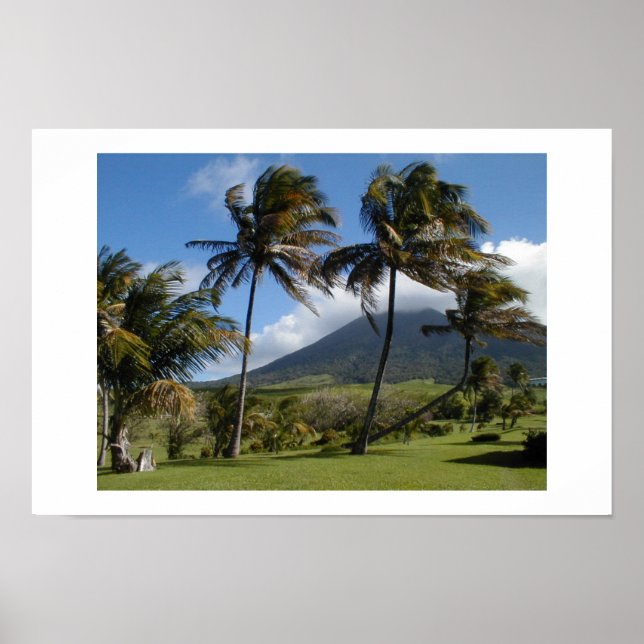 Affiche St. Kitts  Plantation (Devant)