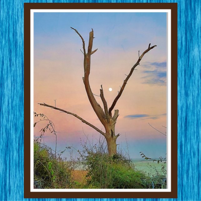 Affiche St Simons Island Georgia Beach Sunset and Moon (Créateur téléchargé)