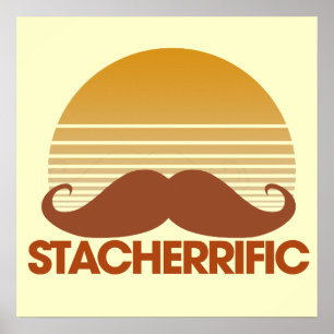 Affiche Stache