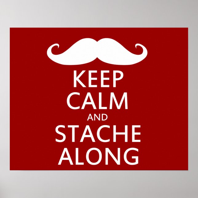 Affiche Stache le long (Devant)