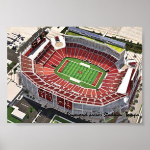 Affiche Stade Raymond James, Tampa, FL