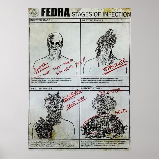 Affiche Stades de fèdre de l'infection (Devant)