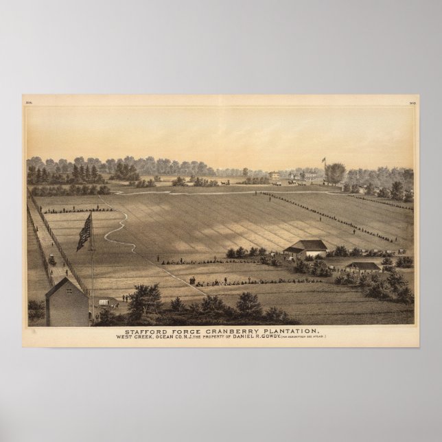 Affiche Stafford Forge Cranberry Plantation, West Creek (Devant)