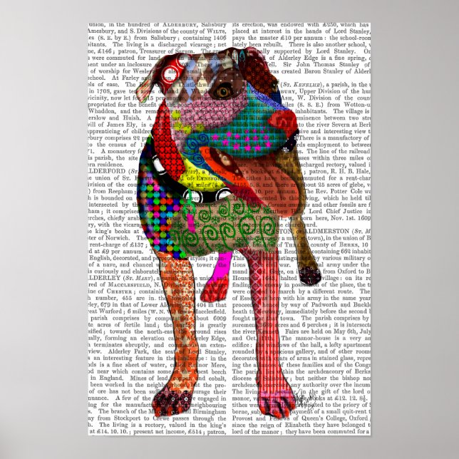 Affiche Staffordshire Bull Terrier - Patchwork (Devant)