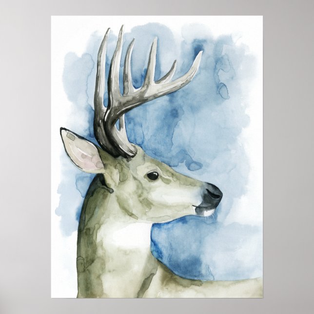 Affiche Stag errant - Aquarelle (Devant)